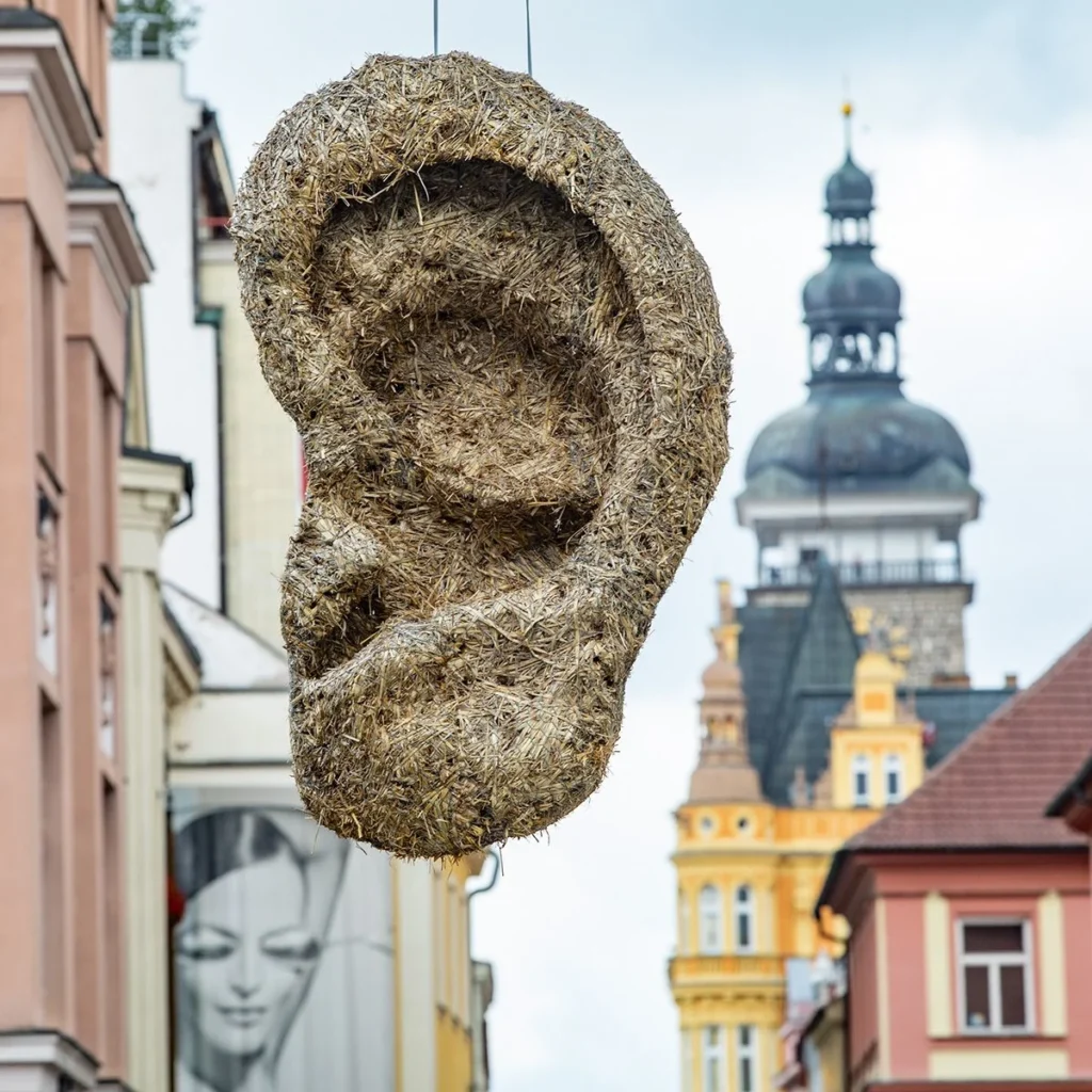 Fred Martin | Ear | Art in the City 2018