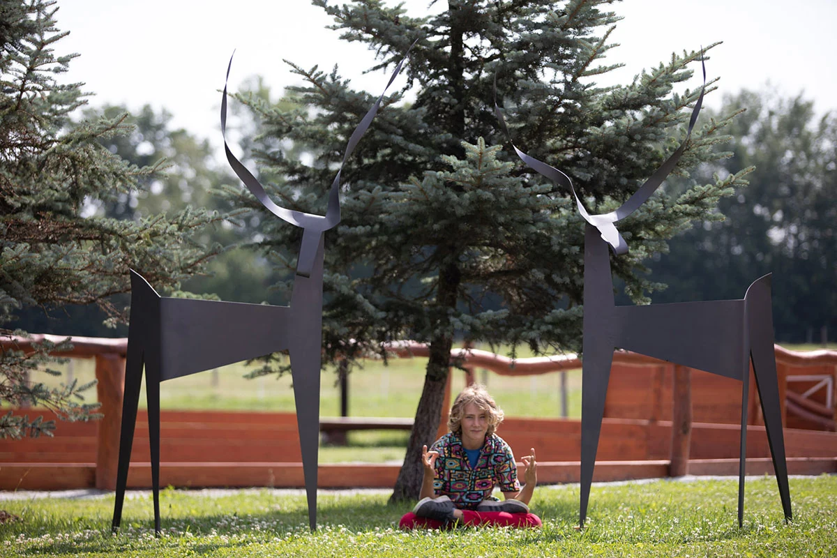 Miroslav Straka | Gazelles | Art in the City 2022